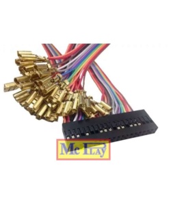 CHICOTE GPIO